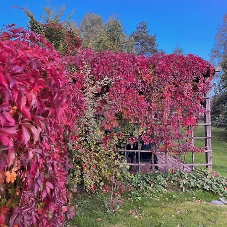 Frühstückspension U Vaclava 3*